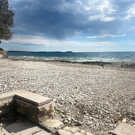 Velura