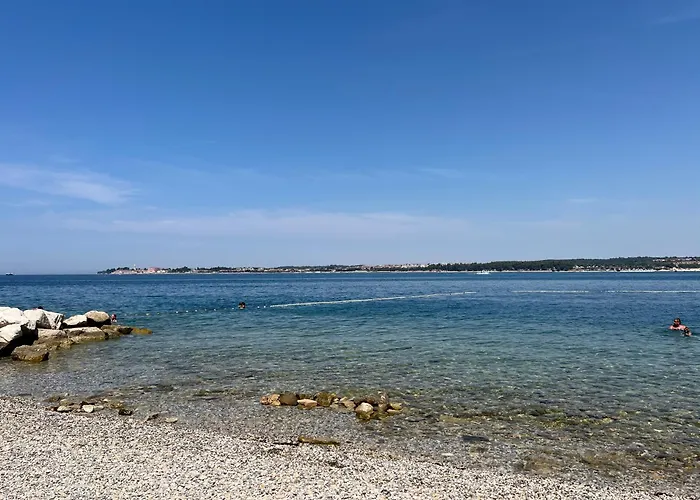 Velura * Tar-Vabriga