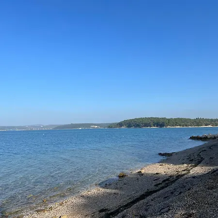 Velura * Tar-Vabriga