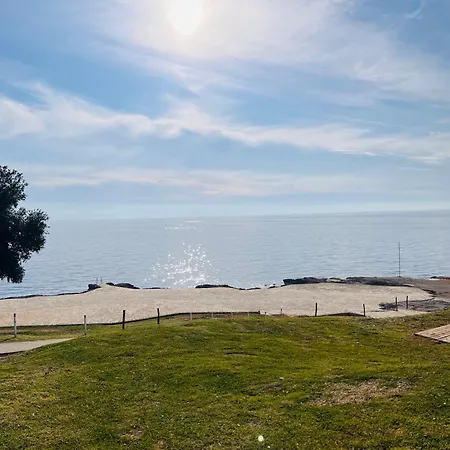 Velura Tar-Vabriga