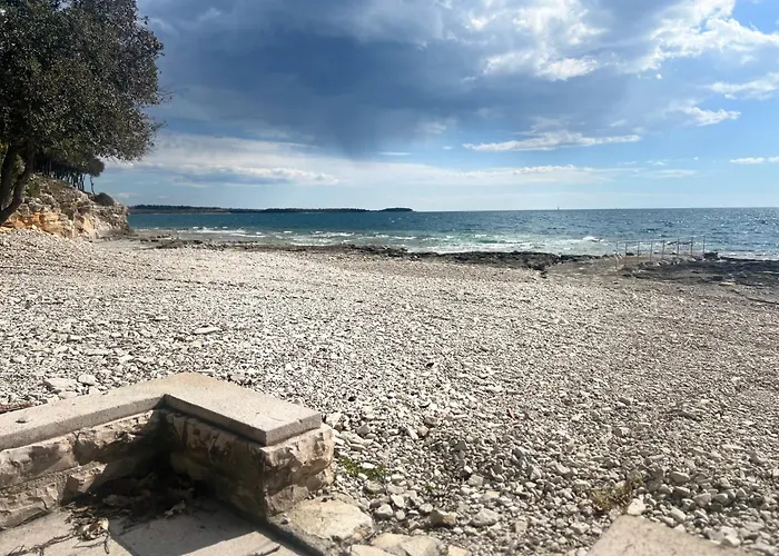 Velura